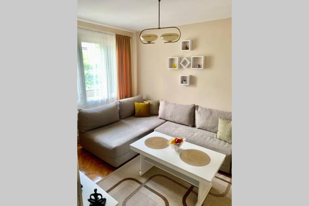 Cute, Spacious Apt In The Heart Of The Old Town 波德戈里察 外观 照片