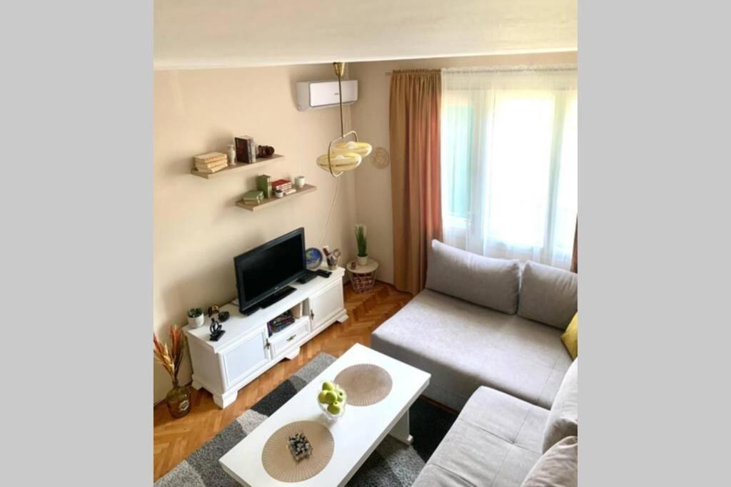 Cute, Spacious Apt In The Heart Of The Old Town 波德戈里察 外观 照片