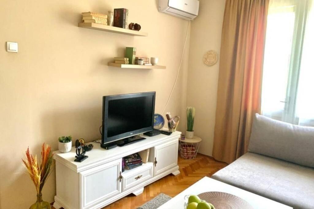 Cute, Spacious Apt In The Heart Of The Old Town 波德戈里察 外观 照片