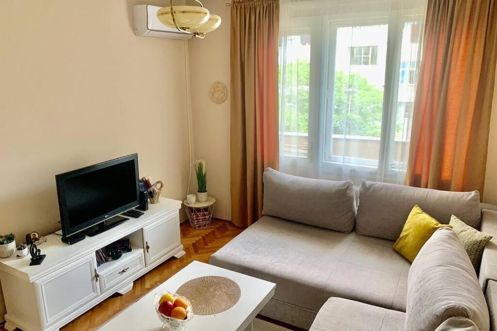 Cute, Spacious Apt In The Heart Of The Old Town 波德戈里察 外观 照片